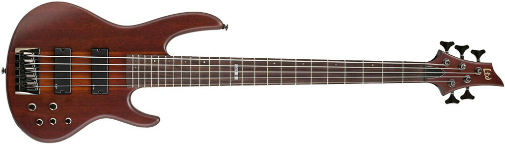 ESP LTD D-5 5-String Bass